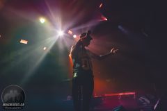 Aesthetic Perfection - Amphi 2024