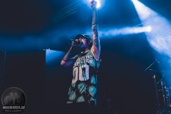 Aesthetic Perfection - Amphi 2024