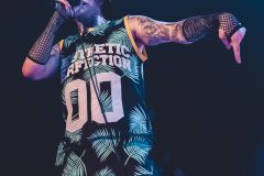 Aesthetic Perfection - Amphi 2024