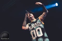 Aesthetic Perfection - Amphi 2024