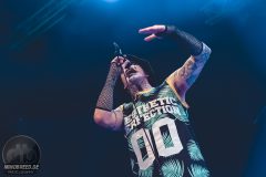 Aesthetic Perfection - Amphi 2024