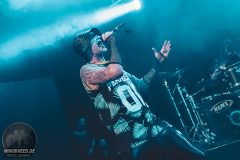 Aesthetic Perfection - Amphi 2024