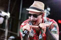 Aesthetic Perfection - Castle Rock 2025