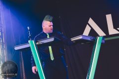 Alienare - Amphi 2024