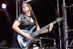 All for Metal - Castle Rock Festival 2026