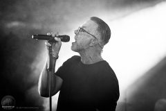 Camouflage - Amphi Festival 2025