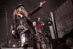 Circus of Fools - Castle Rock 2023