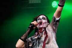 Circus of Fools - Castle Rock 2023