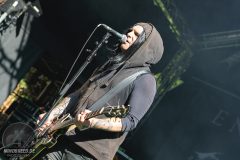 End of Green -Feuertal Festival 2024