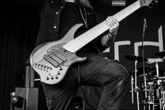 Erdling - Amphi Festival 2025