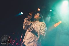 Goethes Erben - Amphi 2024