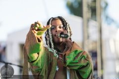 220812_FlowFestival22_4691_IsaacSene_mb