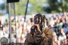 220812_FlowFestival22_4715_IsaacSene_mb