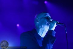 240503_Love_Shop_9419_mb