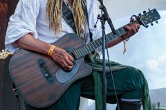 Mr. Hurley & die Pulveraffen - Folkfield Festival 2022 - Gelsenkirchen