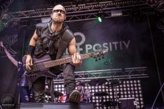 Null Positiv - Castle Rock 2023