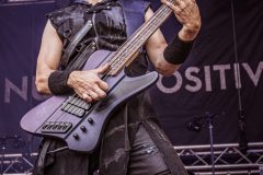 Null Positiv - Castle Rock 2023