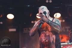 Ost+Front - Amphi 2024