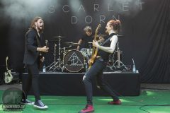 Scarlet Dorn - Feuertal Festival 2024