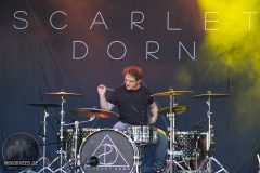 Scarlet Dorn - Feuertal Festival 2024