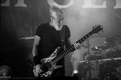 Sepultura in der Rockhal Esch-sur-Alzette, Luxemburg am 06.11.2024