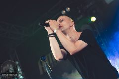 Solar Fake - Amphi 2024