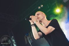 Solar Fake - Amphi 2024