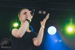 Solar Fake - Amphi 2024