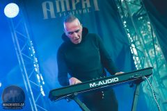 Solar Fake - Amphi 2024