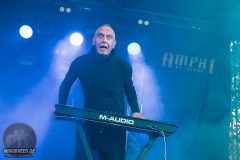 Solar Fake - Amphi 2024