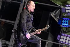 Still Patient - Castle Rock Festival 2024