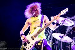 Striker in der Rockhal Esch-sur-Alzette, Luxemburg am 28.02.2025