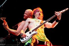 Striker in der Rockhal Esch-sur-Alzette, Luxemburg am 28.02.2025