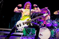 Striker in der Rockhal Esch-sur-Alzette, Luxemburg am 28.02.2025