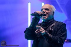 Subway to Sally - Eisheilige Nacht 2024 - Dortmund