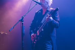 The Beauty of Gemina - Amphi 2024