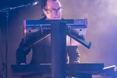 The Beauty of Gemina - Amphi 2024