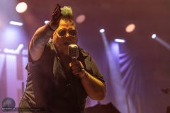The O'Reillys and the Paddyhats - Eisheilige Nacht 2024 - Dortmund