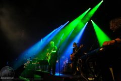 240426_Vega_6186_VivaVertigo_mb