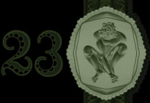 Wave Gotik Treffen 2014 – Erste Bands bestätigt Vorschau Wave Gotik Treffen