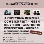 Pluswelt Festival 2014 - Programmflyer