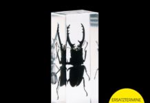 Deine Lakaien verschieben Teile der „Crystal Palace“ Tour 2015 Deine Lakaien - Ersatztermine für Crystal Palace Konzerte im November 2014