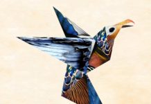 Stornoway – Bonxie