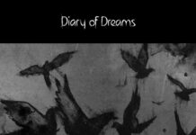 Diary Of Dreams – Grau Im Licht