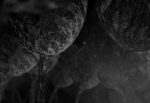 Prelistening: X Marks The Pedwalk – Secrets