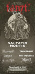 tanzt! 2017 - Saltation Mortis, Vroudenspiel, Tanzwut