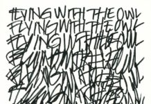 The Beauty Of Gemina – Flying with the Owl Rezension: The Beauty Of Gemina - Flying With The Owl