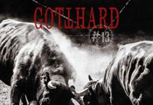 Gotthard – #13 Gotthard - #13