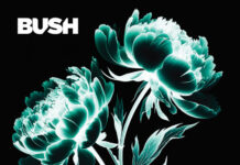 Bush – I Beat Loneliness Review © Bush - I Beat Loneliness