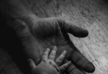 No Apologies: Erstes Album „Life“ nach 15 Jahren © No Apologies - Life